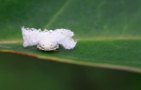 《y荡学院》by金银花