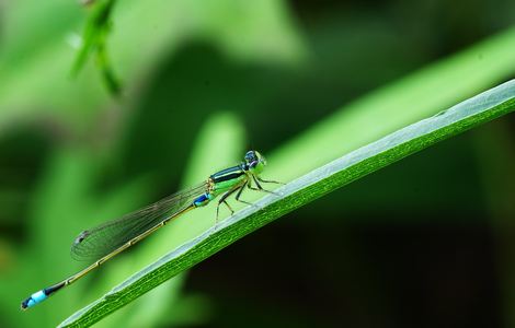 《淫蛇居》by相思 笔趣阁