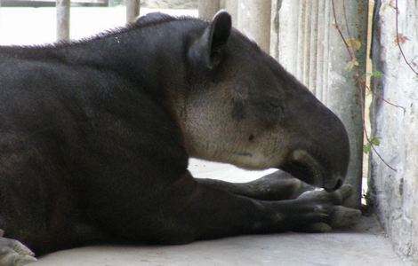 中文乱幕日产无线码一区