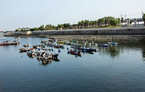 云樱翻白眼流眼泪图片