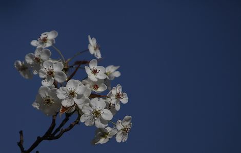 大象回家完整版视频