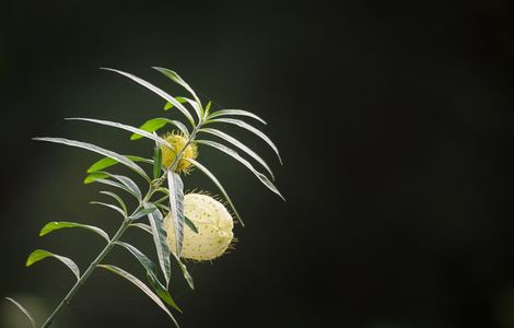 天天烦躁暴躁