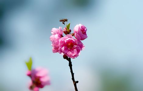 女生如何自己磨豆浆