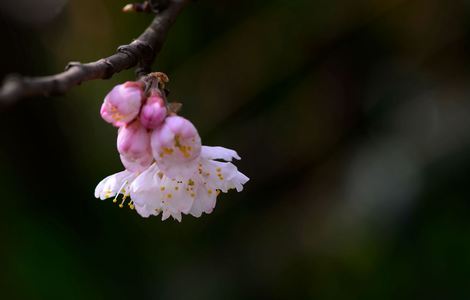 妻子不孕找个神棍治疗