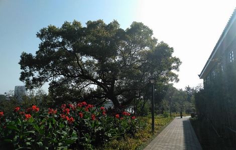 梁医生手指拨开花蒂视频