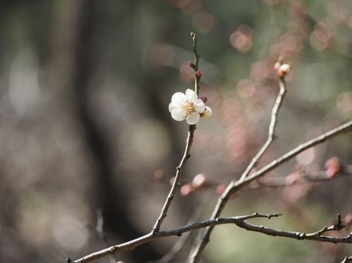 狂c英语老师一节课视频