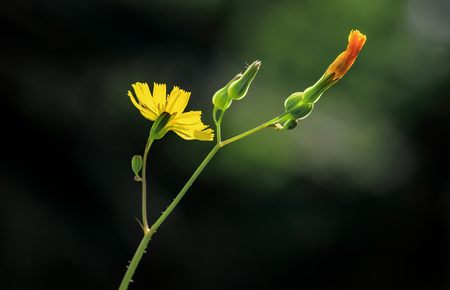 瑜伽裤露孢鱼缝高清流畅