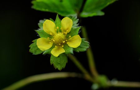 电影苹果高清版完整