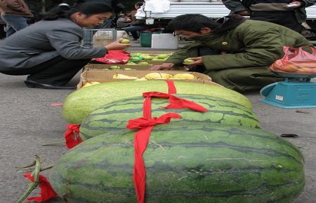 神秘地带小说豆蔻茶