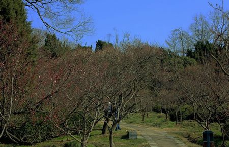 老板让我夹电动棒上班