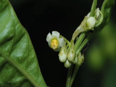 花溪区私人电影院