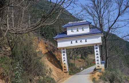 霸道总裁要够了没的小说