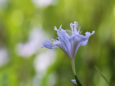 马的阴历茎进子宫免费观看